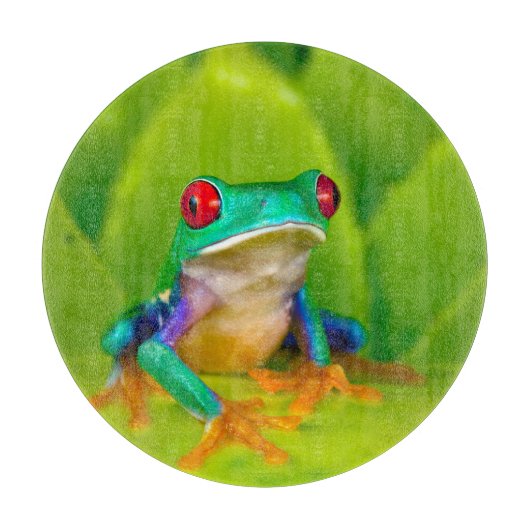 Rotaugelaubfrosch, Costa Rica Schneidebrett (Vorderseite)