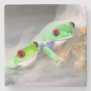 Rotaugelaubfrosch im Nebel, Agalychinis 2 Steinuntersetzer