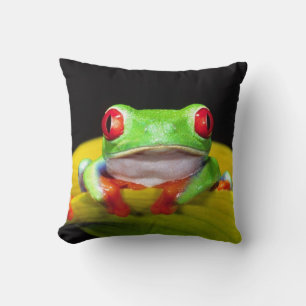 Rotaugen-Laubfrosch, Agalychinis callidryas, Einhe Kissen