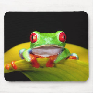 Rotaugen-Laubfrosch, Agalychinis callidryas, Einhe Mousepad