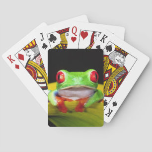 Rotaugen-Laubfrosch, Agalychinis callidryas, Einhe Spielkarten