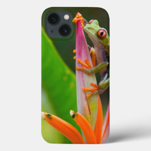 Rotaugen-Laubfrosch, Costa Rica Case-Mate iPhone Hülle