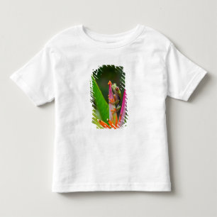 Rotaugen-Laubfrosch, Costa Rica Kleinkind T-shirt