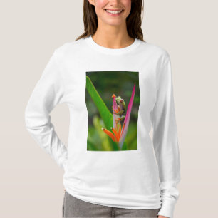 Rotaugen-Laubfrosch, Costa Rica T-Shirt