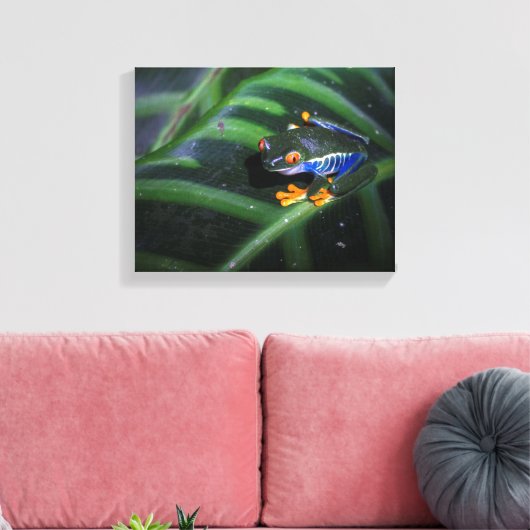 Rotaugenfrosch am Leaf Leinwanddruck (Insitu (Wohnzimmer))