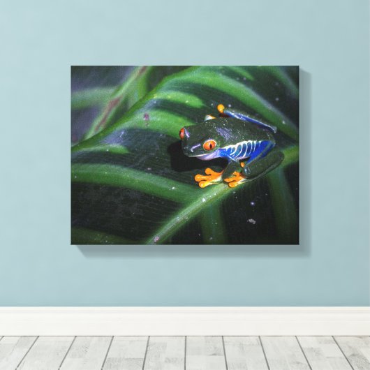 Rotaugenfrosch am Leaf Leinwanddruck (Insitu (Holzboden))