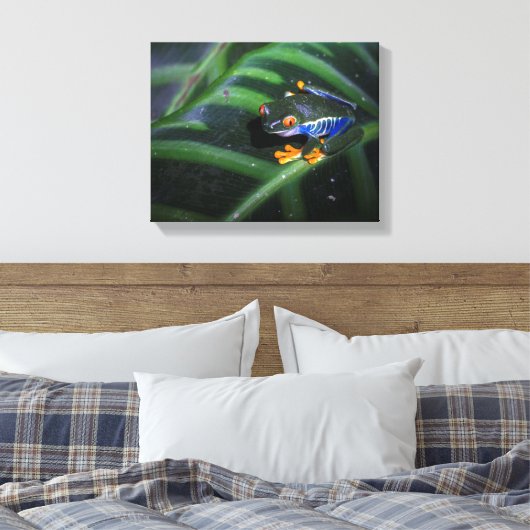 Rotaugenfrosch am Leaf Leinwanddruck (Insitu (Schlafzimmer))