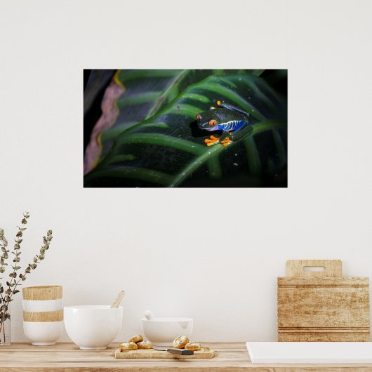 Rotaugenfrosch am Leaf Poster (Küche)