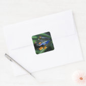 Rotaugenfrosch am Leaf Quadratischer Aufkleber (Umschlag)