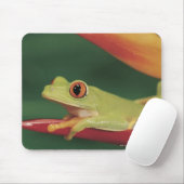 Rotaugenfrosch auf der Blume Mousepad (Mit Mouse)