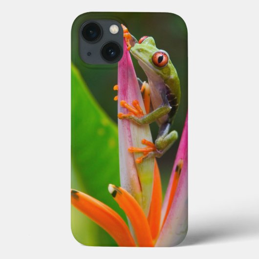 Rotaugenfrosch, Costa Rica 2 Case-Mate iPhone Hülle (Rückseite)