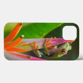 Rotaugenfrosch, Costa Rica 2 Case-Mate iPhone Hülle (Rückseite (Horizontal))