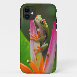 Rotaugenfrosch, Costa Rica Case-Mate iPhone Hülle
