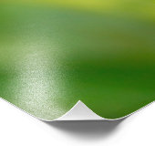 Rotaugenfrosch, Costa Rica Fotodruck (Ecke)