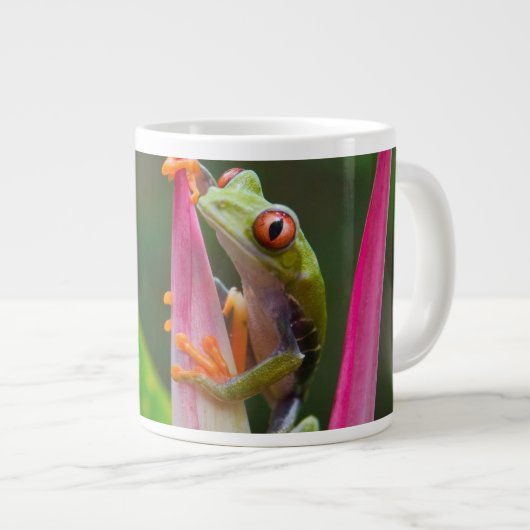 Rotaugenfrosch, Costa Rica Jumbo-Tasse (Vorderseite Rechts)
