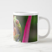 Rotaugenfrosch, Costa Rica Jumbo-Tasse (Rechts)
