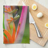 Rotaugenfrosch, Costa Rica Küchentuch (Viertel Falte)