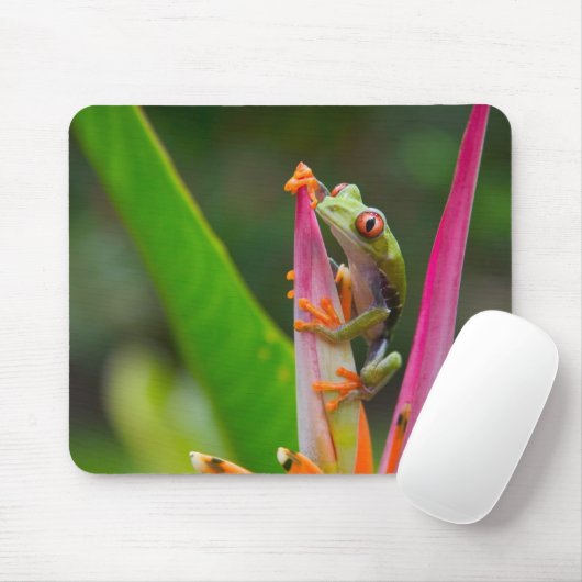 Rotaugenfrosch, Costa Rica Mousepad (Mit Mouse)