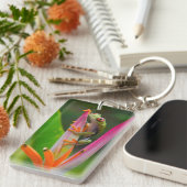 Rotaugenfrosch, Costa Rica Schlüsselanhänger (Vorderseite rechts)