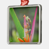 Rotaugenfrosch, Costa Rica Silbernes Ornament (Links)