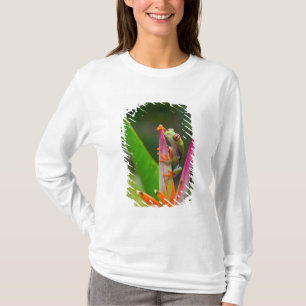 Rotaugenfrosch, Costa Rica T-Shirt