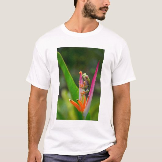 Rotaugenfrosch, Costa Rica T-Shirt (Vorderseite)