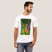 Rotaugenfrosch, Costa Rica T-Shirt (Vorne ganz)