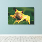 Rotaugenfrosch Leinwanddruck (Insitu (Holzboden))