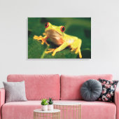Rotaugenfrosch Leinwanddruck (Insitu (Wohnzimmer))