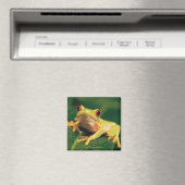 Rotaugenfrosch Magnet (In Situ (Geschirrspüler))