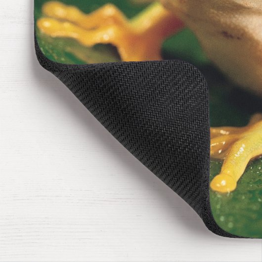 Rotaugenfrosch Mousepad (Ecke)