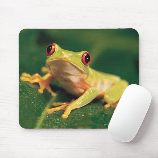 Rotaugenfrosch Mousepad (Mit Mouse)