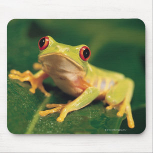 Rotaugenfrosch Mousepad