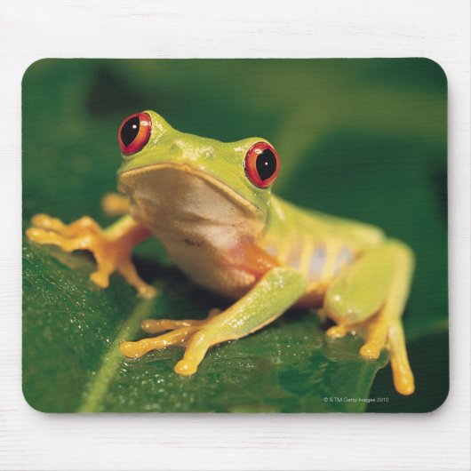 Rotaugenfrosch Mousepad (Vorne)
