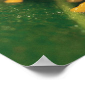 Rotaugenfrosch Poster (Ecke)