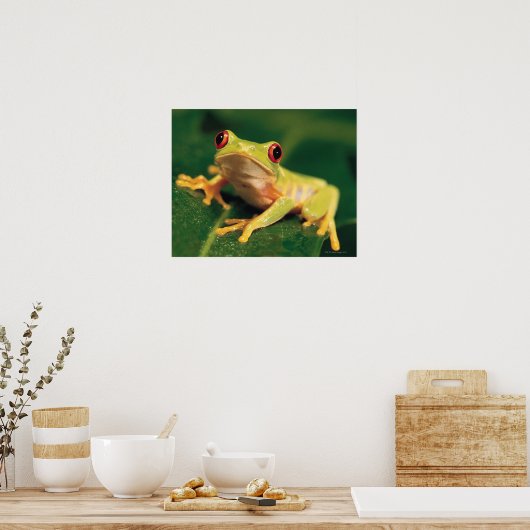 Rotaugenfrosch Poster (Küche)