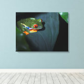 Rotaugenfrosch sitzend leinwanddruck (Insitu (Holzboden))