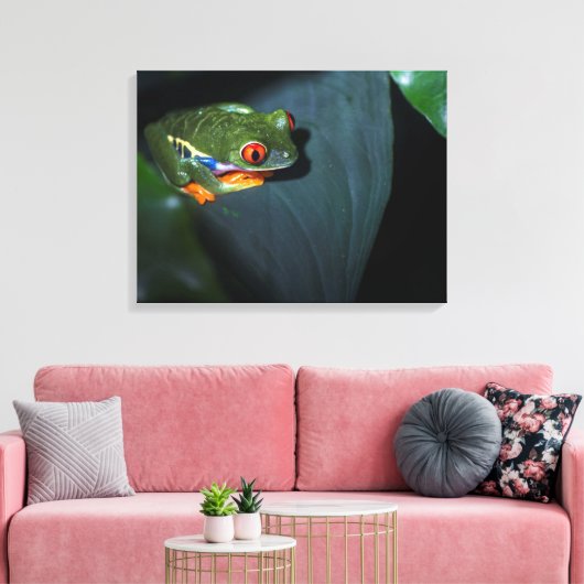 Rotaugenfrosch sitzend leinwanddruck (Insitu (Wohnzimmer))