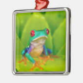 Rotaugenklaubfrosch, Costa Rica Ornament Aus Metall (Links)