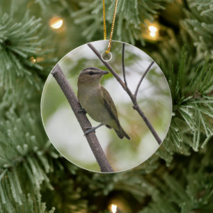 Rotaugenvireo, zwischen kahlen Zweigen sitzend Keramik Ornament