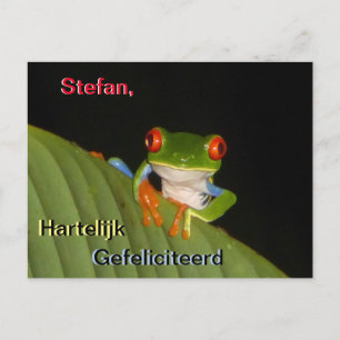 Rotaugige bunte Nachtfrosch-Geburtstagspostkarte Postkarte