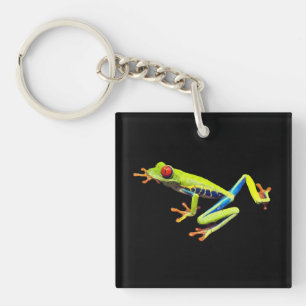 Rotäugiger Gemalter Laubfrosch Schlüsselanhänger