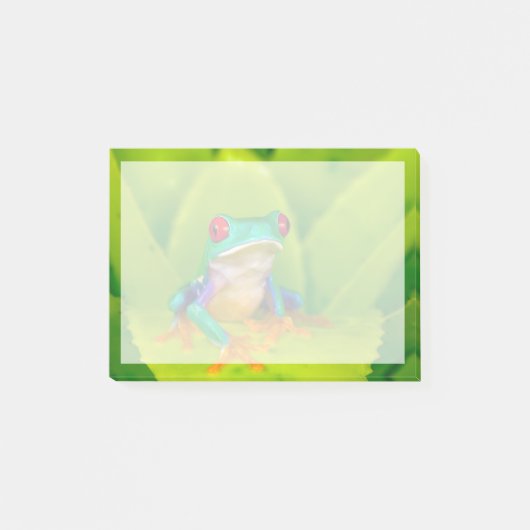 Rotaugiger Laubfrosch, Costa Rica Post-it Klebezettel (Vorderseite)
