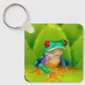 Rotaugiger Laubfrosch, Costa Rica Schlüsselanhänger (Vorderseite)