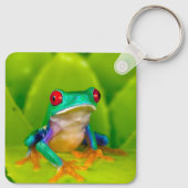 Rotaugiger Laubfrosch, Costa Rica Schlüsselanhänger (Rückseite)