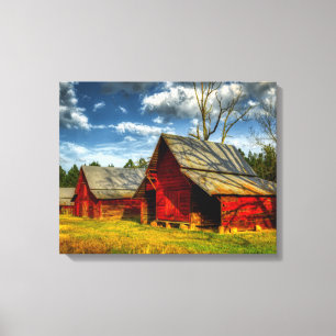 Rotbarn Leinwanddruck