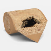 Rotbarsch Hatchling Krawatte (Gerollt)