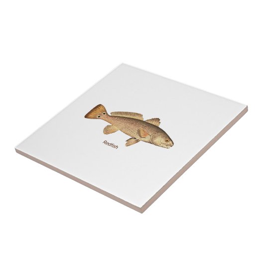 Rotbarsch-Logo Fliese (Seite)