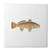 Rotbarsch-Logo Fliese (Vorderseite)