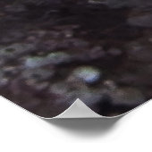 Rotbarsch Poster (Ecke)